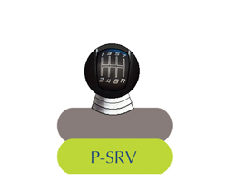 P-SRV Service Logo
